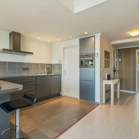 Skyline App 5p Met Prachtige Uitzichten & Terras Oostende